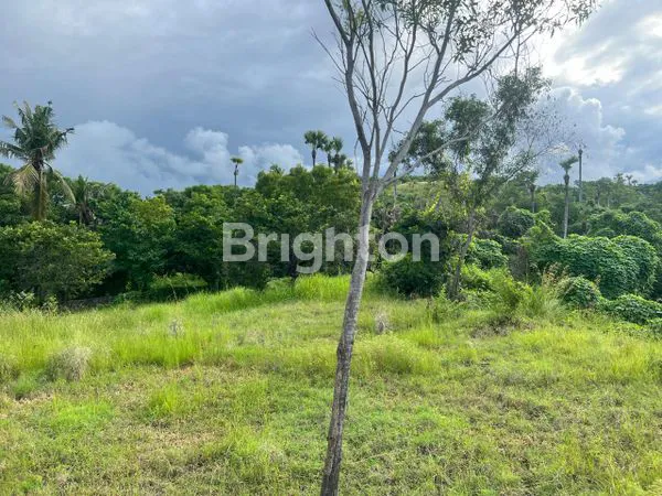 image DIJUAL SEGERA TANAH VIEW PANTAI 2680M² DI BEBAYU KARANGASEM - SHM (2)