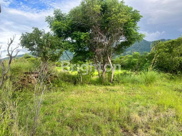 image DIJUAL SEGERA TANAH VIEW PANTAI 2680M² DI BEBAYU KARANGASEM - SHM (7)