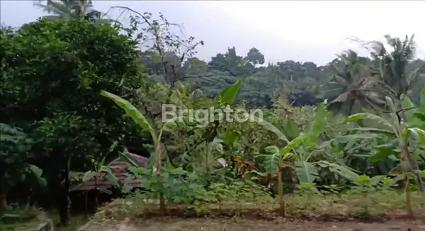 image TANAH LUAS DI JAKARTA SELATAN – SIAP BANGUN RUMAH / USAHA / INVESTASI (2)
