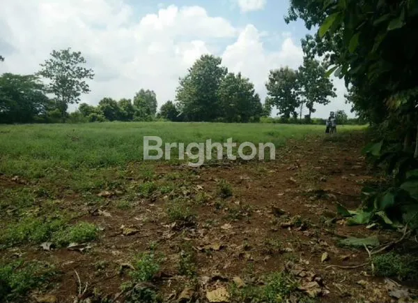 DI JUAL LAHAN DI LAMPUNG