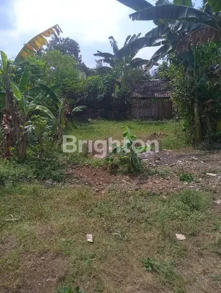 image TANAH KALISONGO DAU (1)