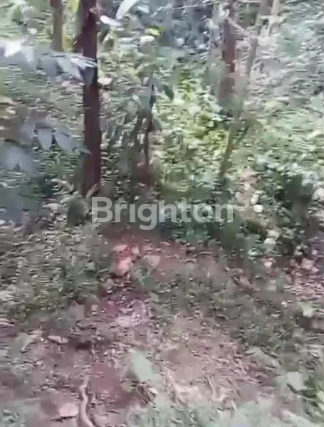 image DIJUAL TANAH DENGAN PEMANDANGAN MEMPESONA DI KENDERAN, UBUD (5)