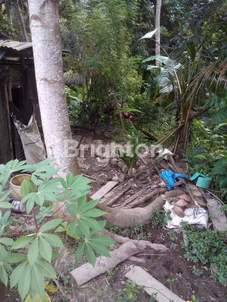 image DIJUAL TANAH DENGAN PEMANDANGAN MEMPESONA DI KENDERAN, UBUD (4)