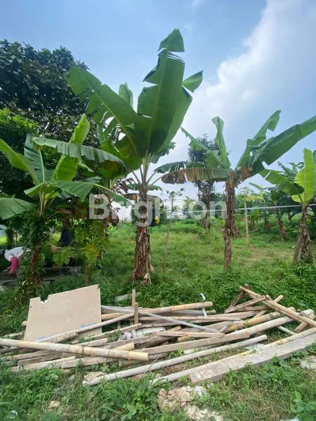 image TANAH STRATEGIS DI SAWANGAN (1)