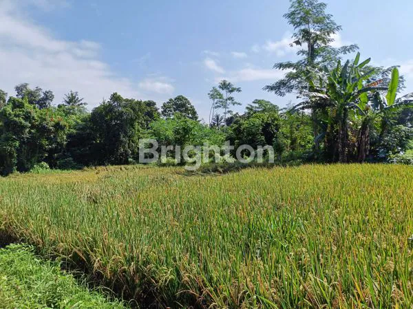 DIJUAL TANAH STRATEGIS DI DAERAH BENG GIANYAR