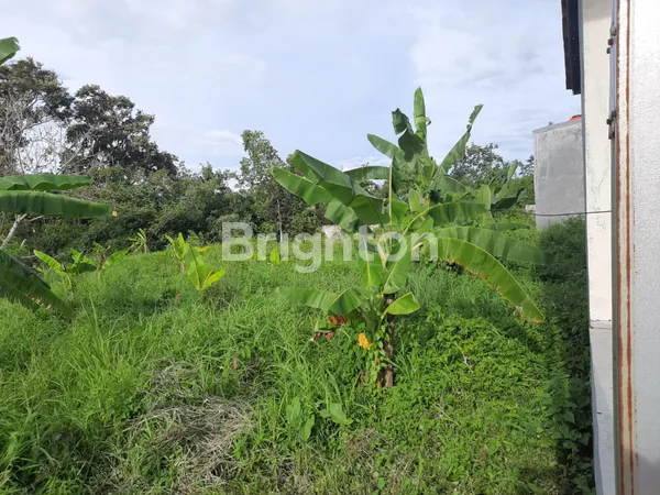 image TANAH PREMIUM 1941M² DI JALAN TIRTAYASA - COCOK UNTUK PERUMAHAN (2)