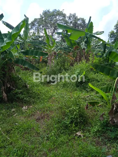 image TANAH PREMIUM 1941M² DI JALAN TIRTAYASA - COCOK UNTUK PERUMAHAN (3)