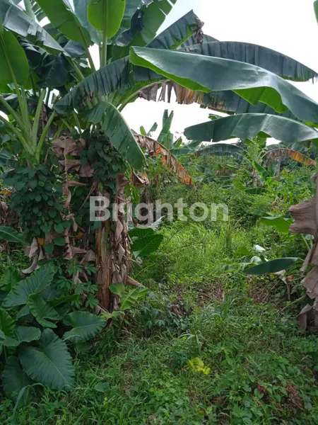 image TANAH PREMIUM 1941M² DI JALAN TIRTAYASA - COCOK UNTUK PERUMAHAN (4)