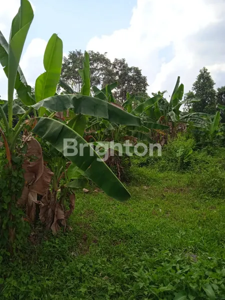 image TANAH PREMIUM 1941M² DI JALAN TIRTAYASA - COCOK UNTUK PERUMAHAN (5)