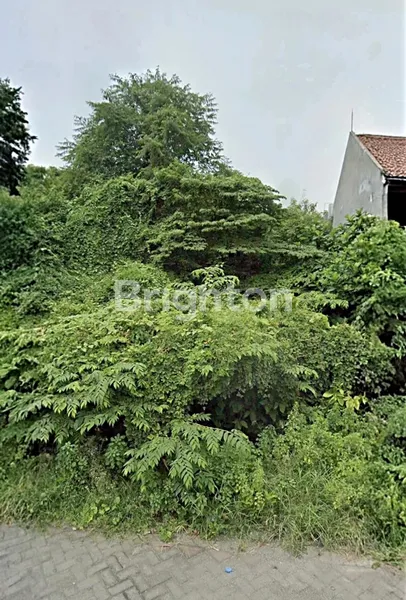 Gambar Property TANAH MEDOKAN COCOK BUAT KOST2AN