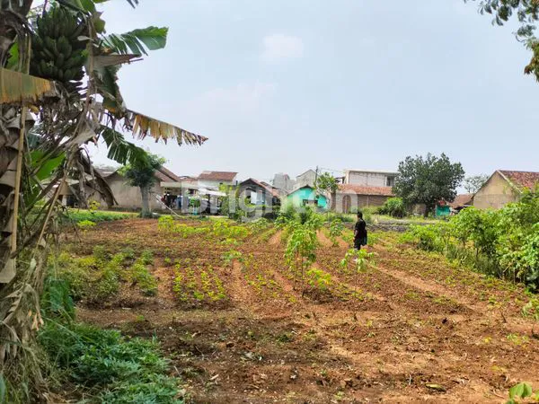 image DIJUAL CEPAT TANAH DI CIODENG -BALEENDAH (5)