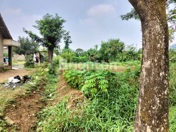 image DIJUAL CEPAT TANAH DI CIODENG -BALEENDAH (6)