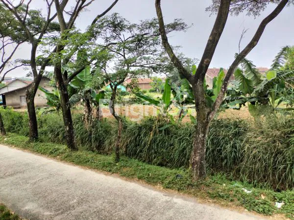 image DIJUAL CEPAT TANAH DI CIODENG -BALEENDAH (3)