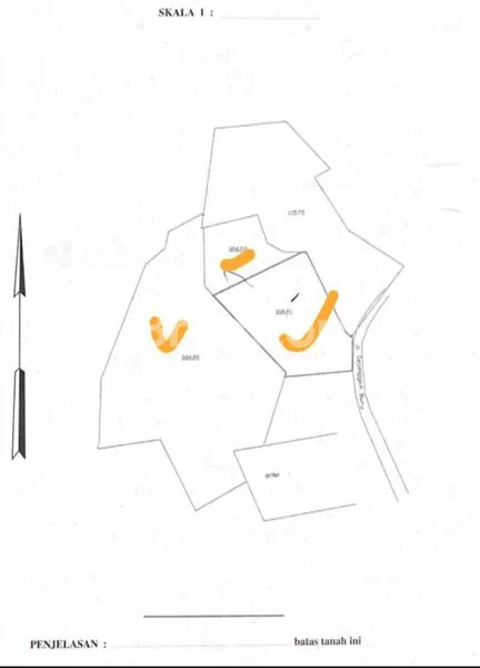 image DIJUAL WATAS TANAH 4 HEKTAR KOMERSIAL SEPINGGAN (3)