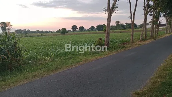 TANAH LUAS 1 HEKTAR LEB IH DENGAN HARGA MURAH