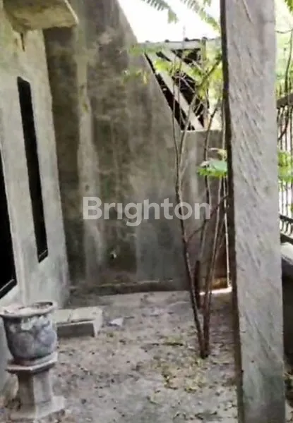 image RUMAH DIJUAL  (3)