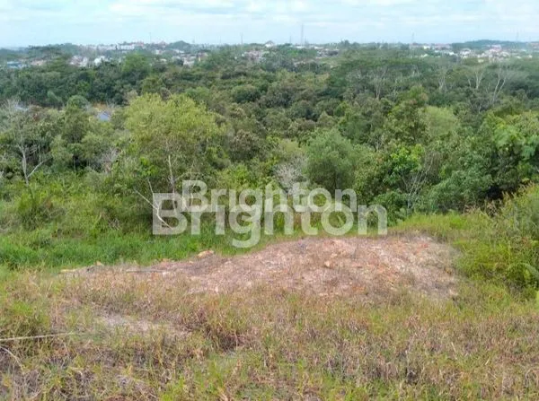 image DIJUAL WATAS TANAH 4 HEKTAR KOMERSIAL SEPINGGAN (4)