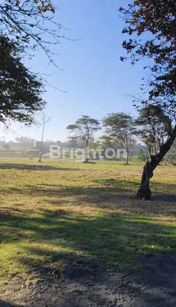 image EXCLUSIVE BEACHFRONT LAND PLOTS AT SABA BEACH (8)