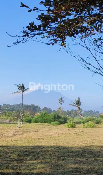 image EXCLUSIVE BEACHFRONT LAND PLOTS AT SABA BEACH (5)