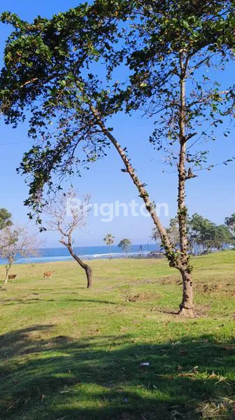 image EXCLUSIVE BEACHFRONT LAND PLOTS AT SABA BEACH (1)