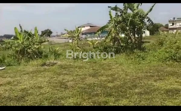 image TANAH LUAS COCOK UNTUK INVESTASI LINGKUNGAN ASRI DAN SEJUK DI CIGOMBONG BOGOR (3)