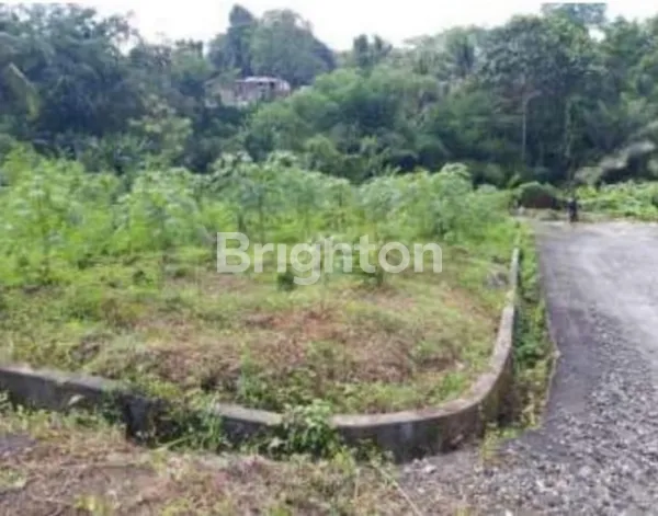 image TANAH KAVLING NYAMAN DI SEMBUNG GEDE KERAMBITAN (2)
