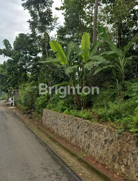 KEBUN DURIAN PRODUKTIF 4480M² VIEW ASRI DI JUMAPOLO KARANGANYAR
