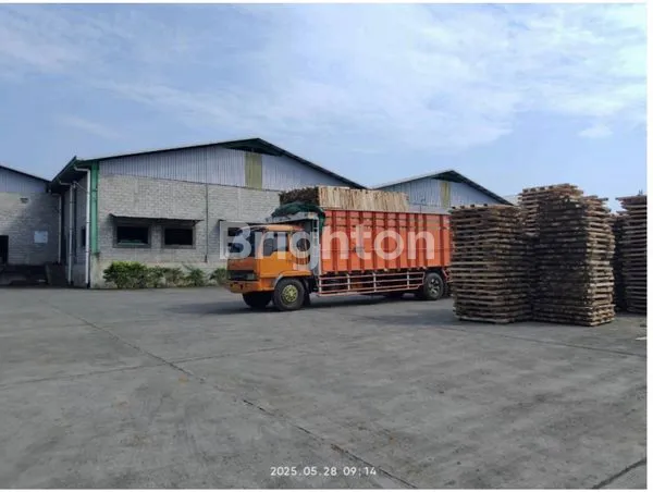 image PABRIK PLYWOOD & BARECORE TAKE OVER (2)