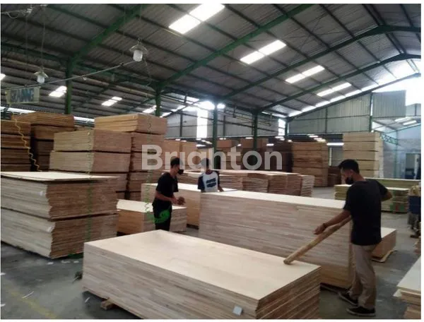 image PABRIK PLYWOOD & BARECORE TAKE OVER (3)