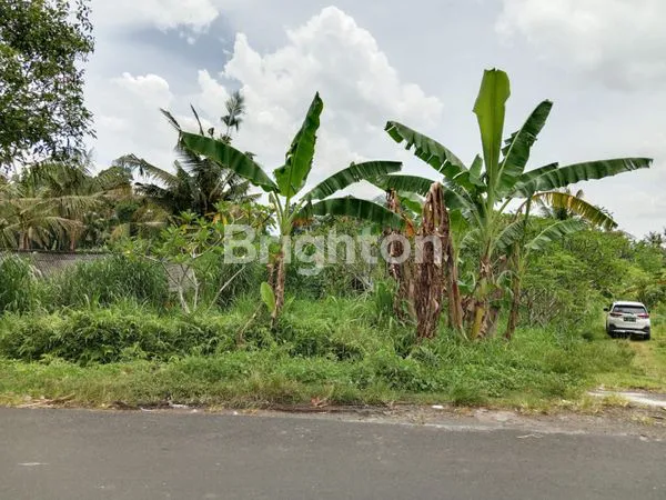 image TANAH HOOK PINGGIR JALAN DI PERING GIANYAR  (4)