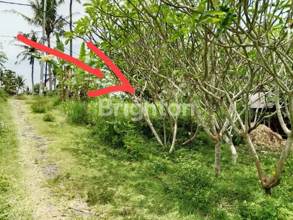 image TANAH HOOK PINGGIR JALAN DI PERING GIANYAR  (3)