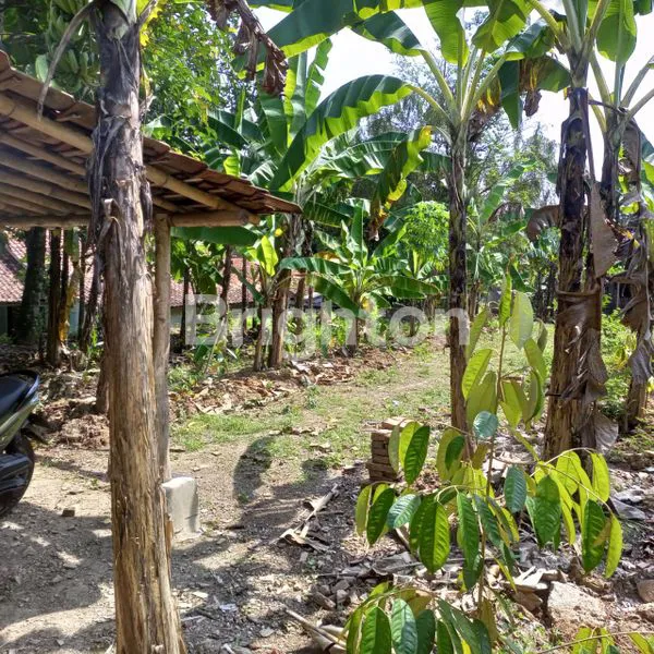 TANAH STRATEGIS DI DESA BENDUNGAN, JONGGOL