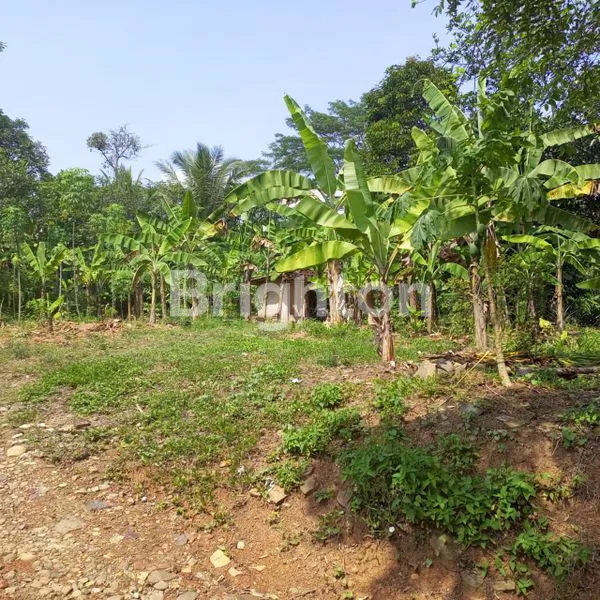 image TANAH STRATEGIS DI DESA BENDUNGAN, JONGGOL (4)