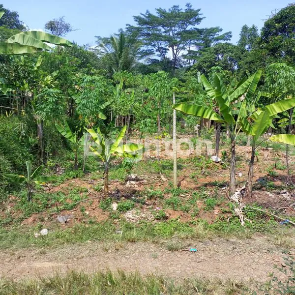 image TANAH STRATEGIS DI DESA BENDUNGAN, JONGGOL (5)