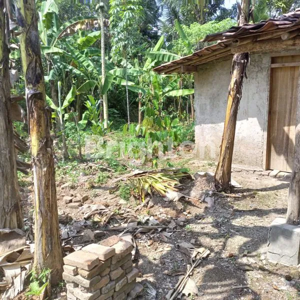 image TANAH STRATEGIS DI DESA BENDUNGAN, JONGGOL (6)