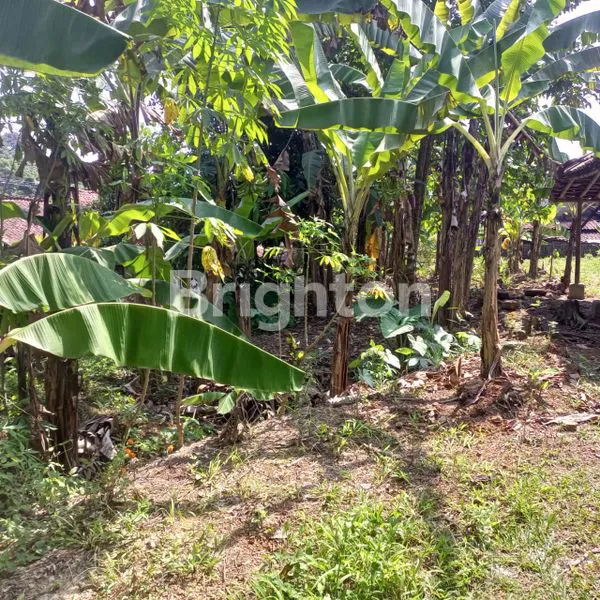 image TANAH STRATEGIS DI DESA BENDUNGAN, JONGGOL (2)