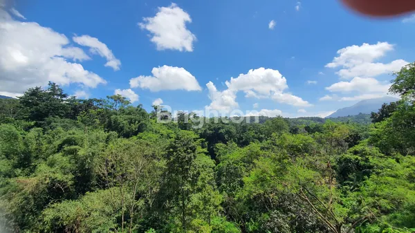 image TEMPAT USAHA RESTO VIEW ALAM PEGUNUNGAN ASRI DAN SEJUK DI PRIGEN PASURUAN (2)