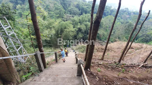 image TEMPAT USAHA RESTO VIEW ALAM PEGUNUNGAN ASRI DAN SEJUK DI PRIGEN PASURUAN (7)