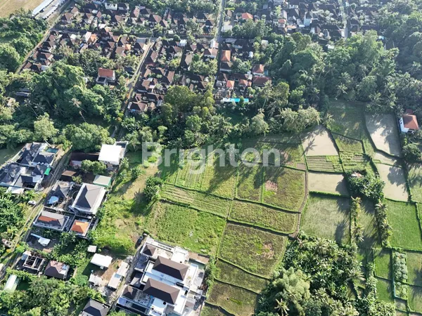 image TANAH KAVLING EKSKLUSIF DI MONKEY FOREST UBUD, ZONA PARIWISATA STRATEGIS UNTUK INVESTASI DAN BISNIS (3)
