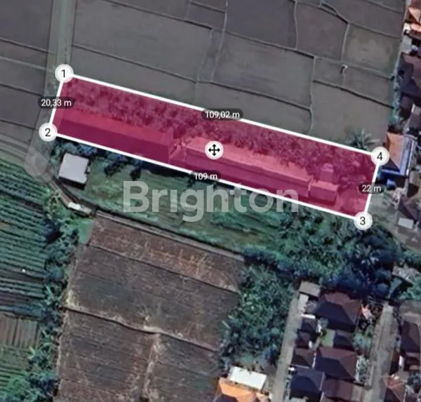 DISEWAKAN TANAH LUAS 24 ARE DEKAT OBJEK WISATA ALAS KEDATON – COCOK UNTUK USAHA PARIWISATA ATAU INVESTASI