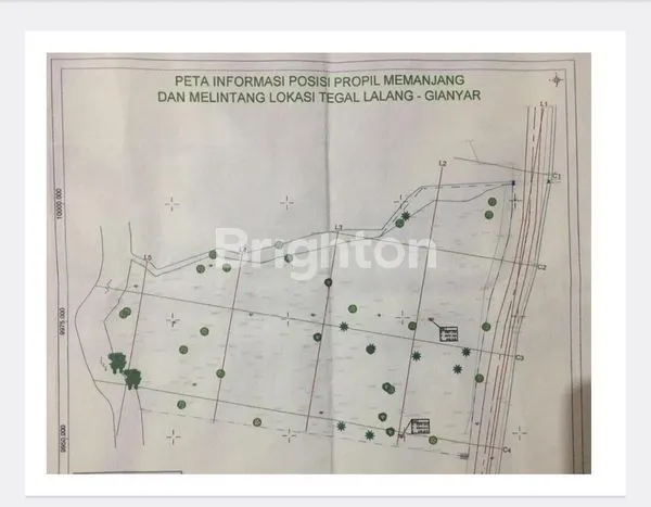 image UBUD BALI, TANAH 3000M2   (1)