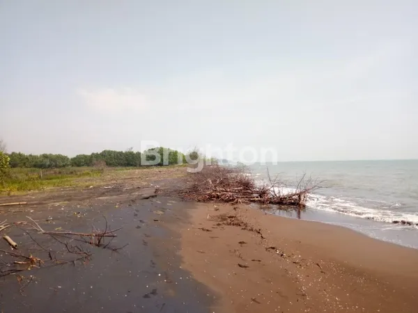 image LAHAN KASEPUHAN BATANG, SAMPING BIBIR PANTAI NYENI, ZONA INDUSTRI MARITIM, TIDAK DALAM KAWASAN INDUSTRI DAN JAUH DARI KITB COCOK UNTUK DOK KAPAL, PEMBUATAN KAPAL DLL (1)
