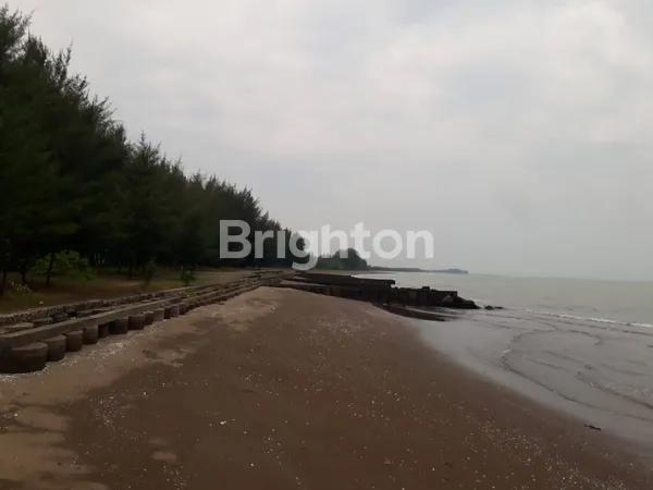 image LAHAN KASEPUHAN BATANG, SAMPING BIBIR PANTAI NYENI, ZONA INDUSTRI MARITIM, TIDAK DALAM KAWASAN INDUSTRI DAN JAUH DARI KITB COCOK UNTUK DOK KAPAL, PEMBUATAN KAPAL DLL (2)