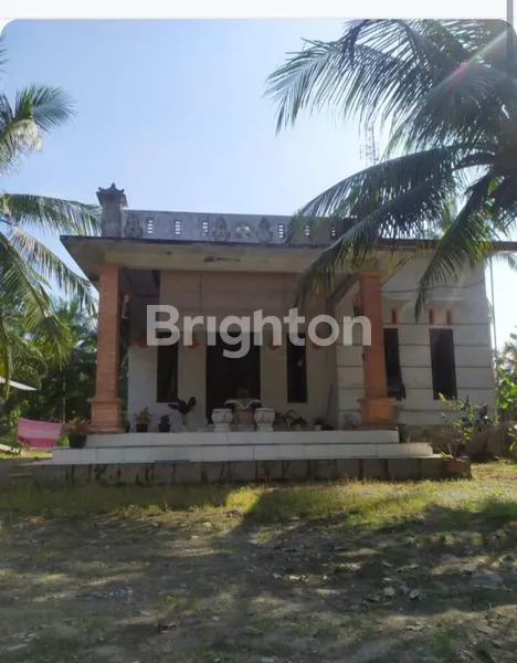 image RUMAH DI DESA, DESA CEMPA, KEC. HINAI KAB. LANGKAT (1)