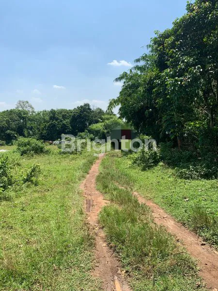 image TANAH LUAS 9013M² DEKAT SMAN 1 CIKEUSAL & MALL OF SERANG (3)