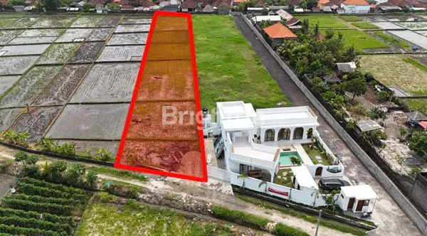 image DIJUAL TANAH STRATEGIS DI KELATING, TABANAN (1)