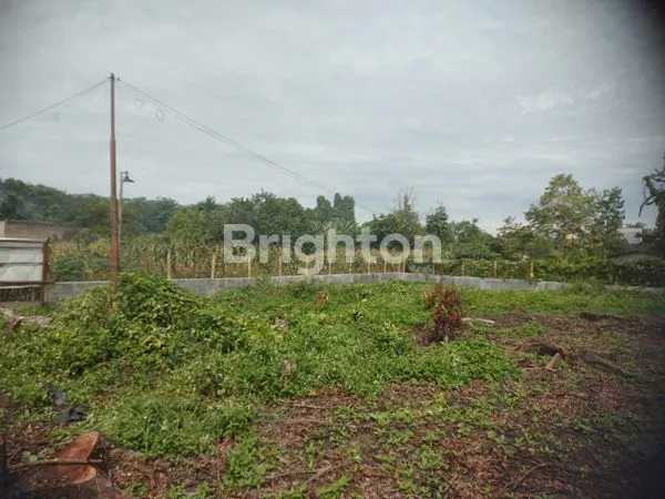 image DIJUAL SEGERA SEBIDANG TANAH MEDAN  (2)