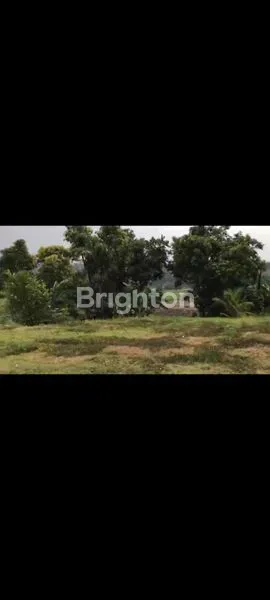 image TANAH LUAS DI KEMIRI, PACET – VIEW ALAM, COCOK INVESTASI! (4)