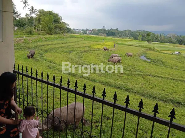 image BUTUH JUAL CEPAT RUMAH SUEJUKKKK DI SALATIGA (6)