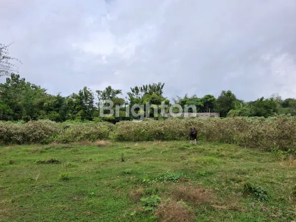 image DI JUAL TANAH LOKASI STRATEGIS GIANYAR (1)